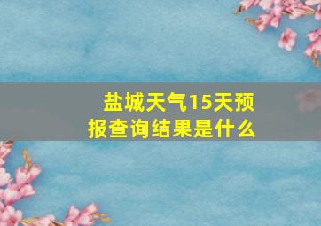 盐城天气15天预报查询结果是什么