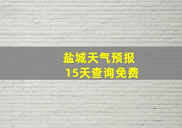 盐城天气预报15天查询免费