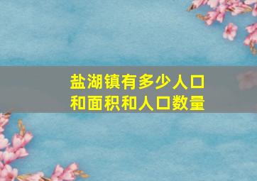 盐湖镇有多少人口和面积和人口数量