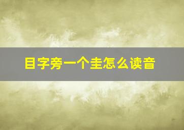 目字旁一个圭怎么读音