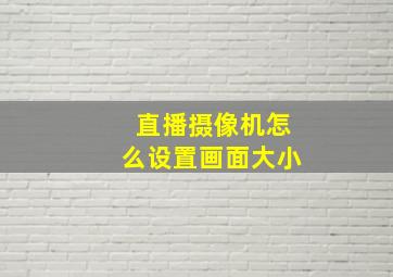 直播摄像机怎么设置画面大小