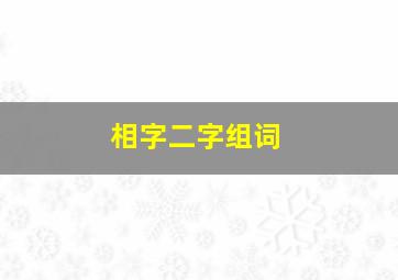 相字二字组词