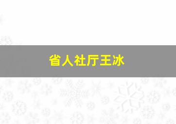 省人社厅王冰