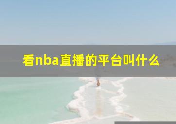 看nba直播的平台叫什么