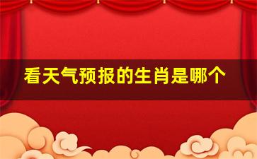 看天气预报的生肖是哪个