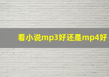 看小说mp3好还是mp4好