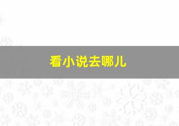 看小说去哪儿