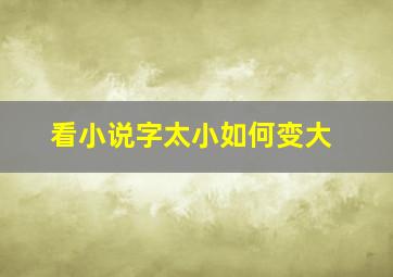 看小说字太小如何变大