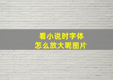 看小说时字体怎么放大呢图片