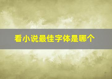 看小说最佳字体是哪个