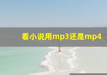 看小说用mp3还是mp4