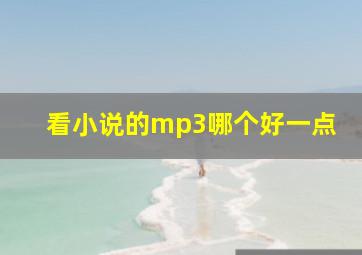 看小说的mp3哪个好一点