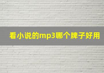 看小说的mp3哪个牌子好用