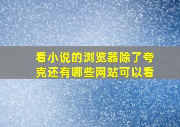 看小说的浏览器除了夸克还有哪些网站可以看