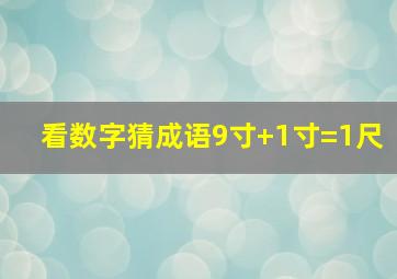 看数字猜成语9寸+1寸=1尺