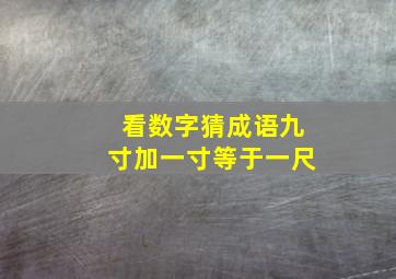 看数字猜成语九寸加一寸等于一尺