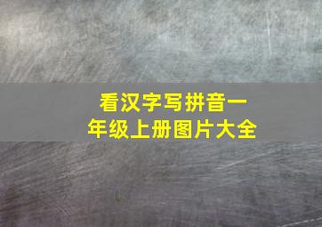 看汉字写拼音一年级上册图片大全