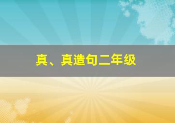 真、真造句二年级