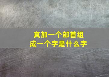 真加一个部首组成一个字是什么字