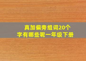 真加偏旁组词20个字有哪些呢一年级下册