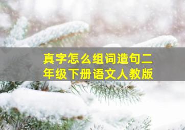 真字怎么组词造句二年级下册语文人教版