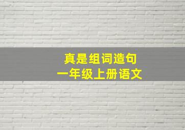 真是组词造句一年级上册语文