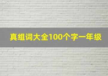 真组词大全100个字一年级