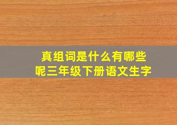 真组词是什么有哪些呢三年级下册语文生字