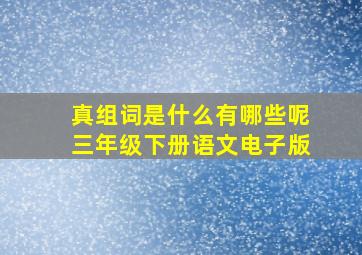 真组词是什么有哪些呢三年级下册语文电子版