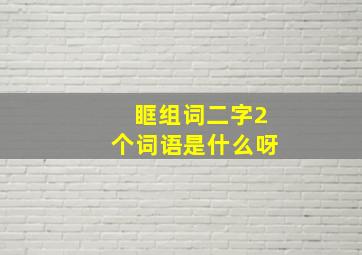 眶组词二字2个词语是什么呀