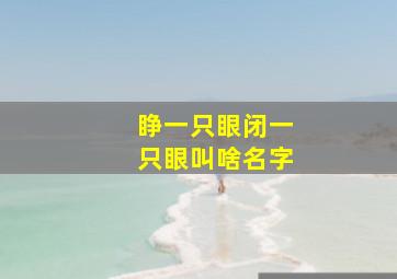 睁一只眼闭一只眼叫啥名字