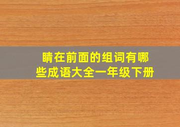 睛在前面的组词有哪些成语大全一年级下册