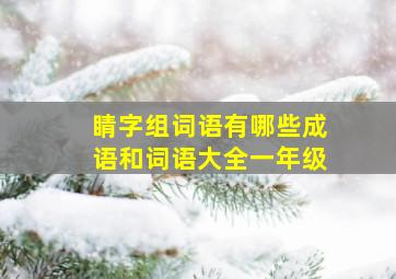 睛字组词语有哪些成语和词语大全一年级