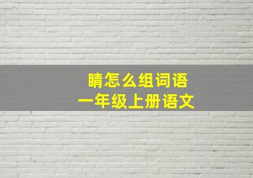 睛怎么组词语一年级上册语文