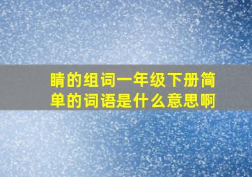 睛的组词一年级下册简单的词语是什么意思啊