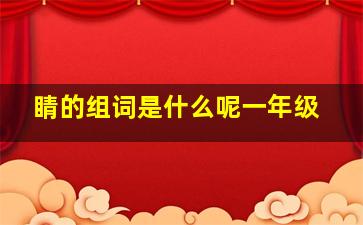 睛的组词是什么呢一年级