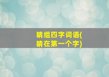 睛组四字词语(睛在第一个字)