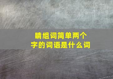 睛组词简单两个字的词语是什么词