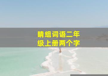 睛组词语二年级上册两个字