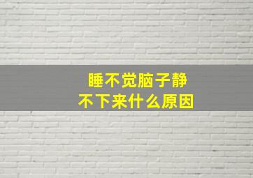 睡不觉脑子静不下来什么原因