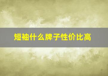 短袖什么牌子性价比高