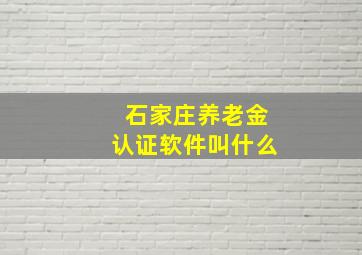 石家庄养老金认证软件叫什么