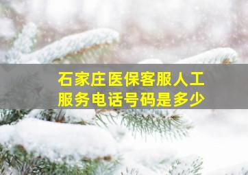 石家庄医保客服人工服务电话号码是多少