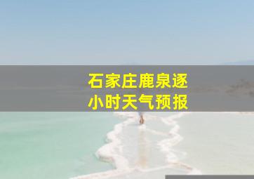 石家庄鹿泉逐小时天气预报