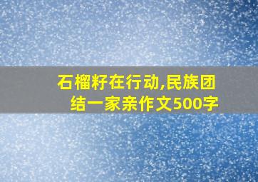 石榴籽在行动,民族团结一家亲作文500字