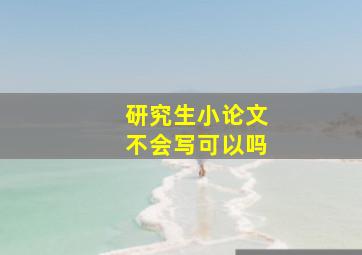 研究生小论文不会写可以吗