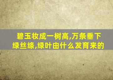 碧玉妆成一树高,万条垂下绿丝绦,绿叶由什么发育来的