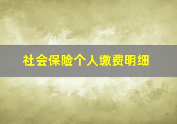 社会保险个人缴费明细