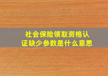 社会保险领取资格认证缺少参数是什么意思