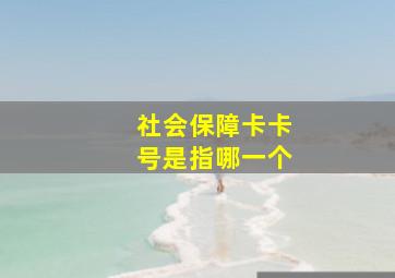 社会保障卡卡号是指哪一个